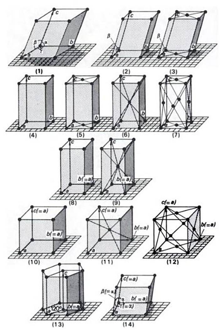lattice net